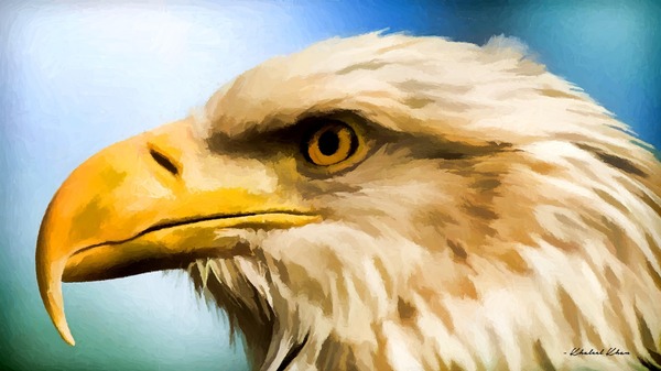 Product picture The Predator